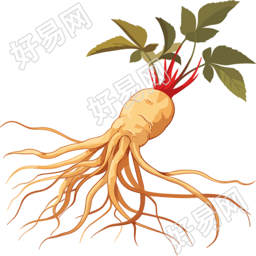 金色时代插画风格的根茎叶子细致插图素材