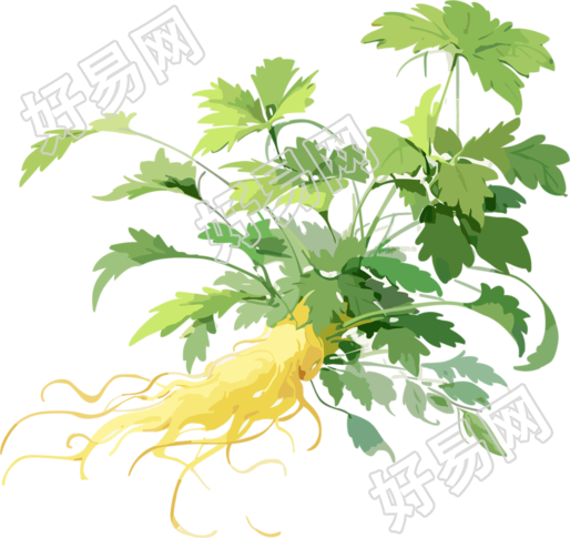 白褐色中草药元素绘画