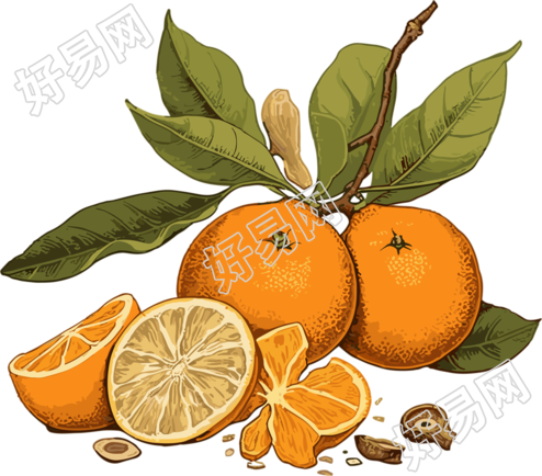 白褐色金色时代插画风格橙子及橙皮叶子图案