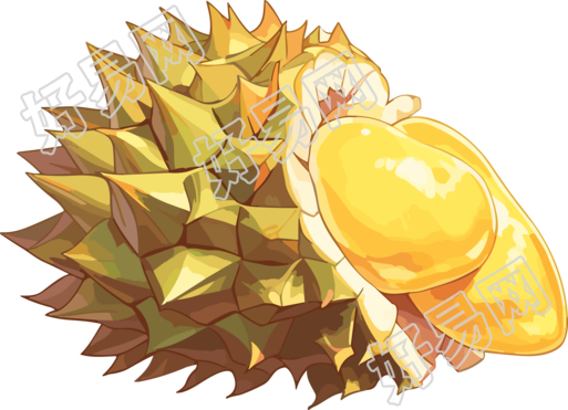 高清透明背景榴莲插画PNG