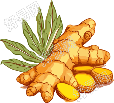 生姜高清PNG创意设计