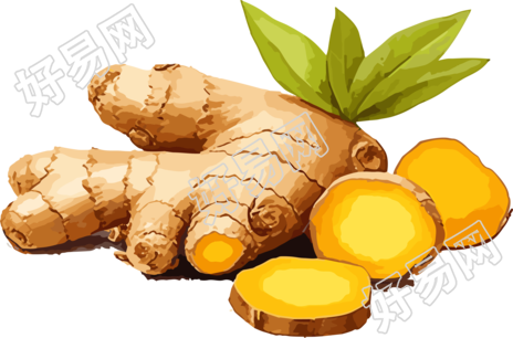 商业创意PNG生姜素材