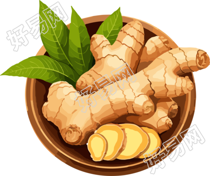 手绘生姜透明背景高清图形素材