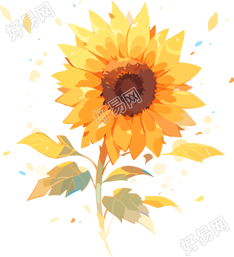 水彩风格太阳花插画PNG