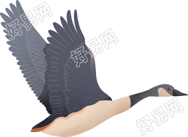 透明背景南飞的大雁手绘插画