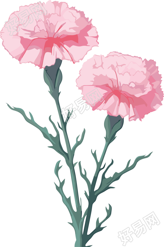 透明背景粉色康乃馨动漫插画设计元素