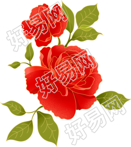 中国风红色牡丹花商用插画