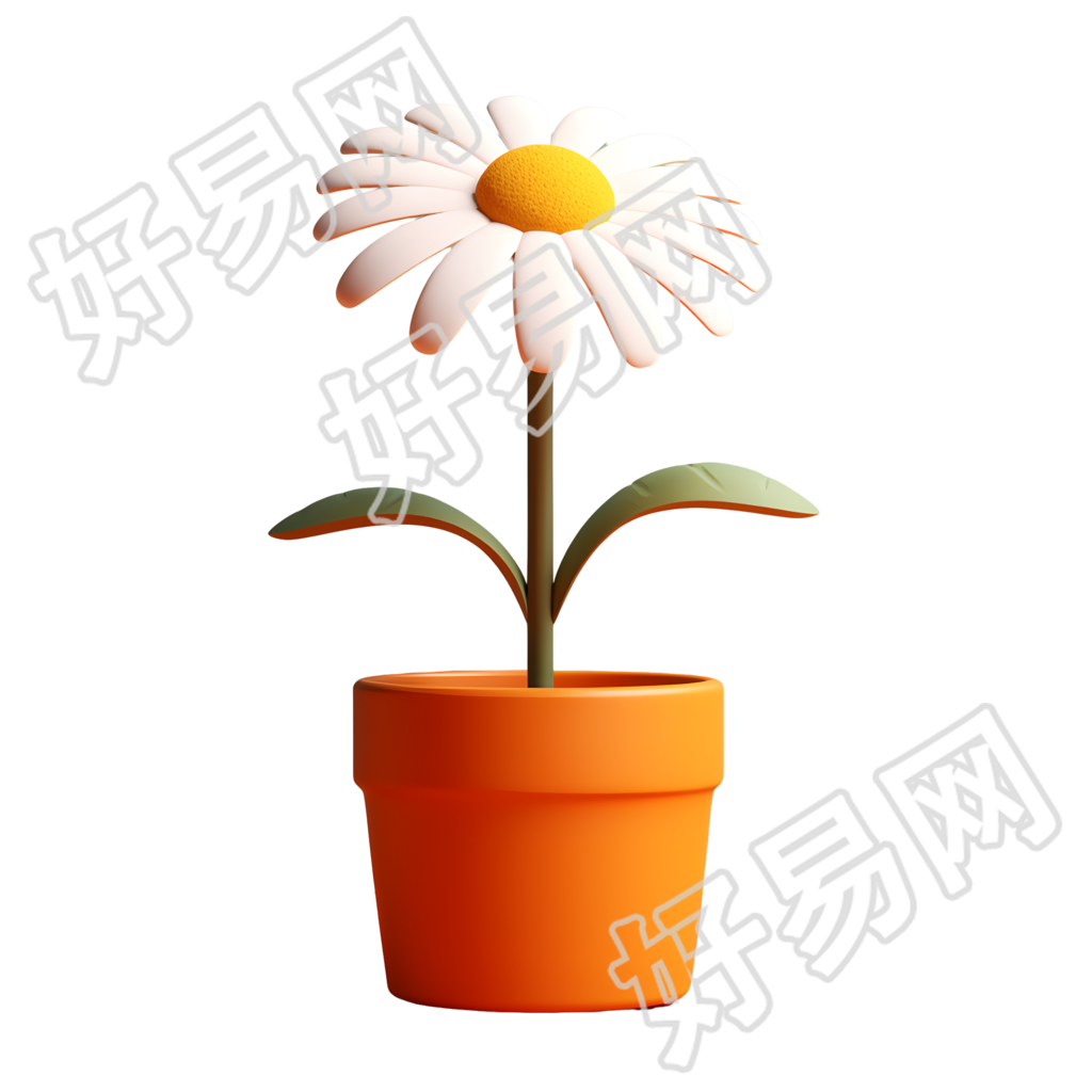 透明背景雏菊盆栽图形素材