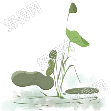 二十四节气寒露池塘中的荷叶素材
