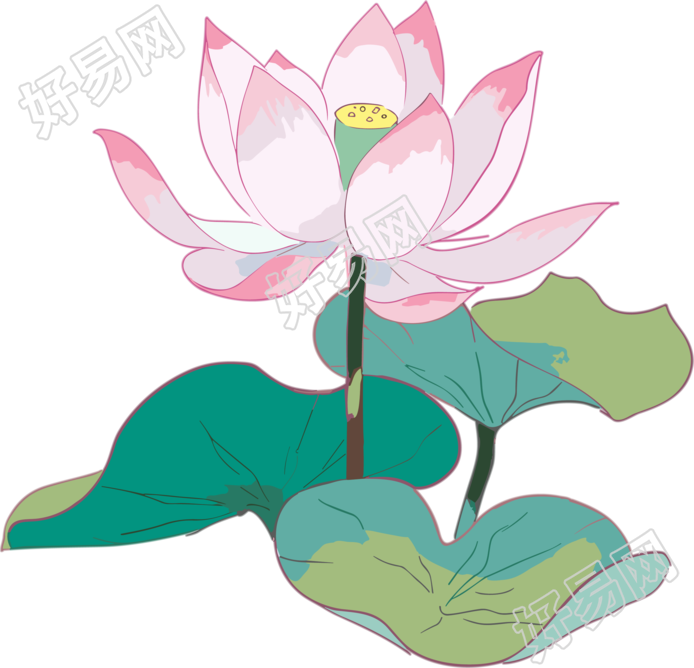 唯美粉色绽放的莲花插画