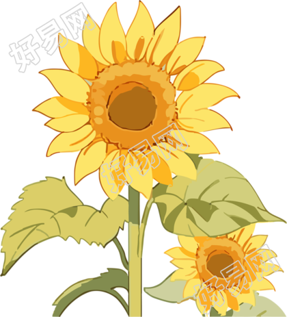 创意设计太阳花手绘插画
