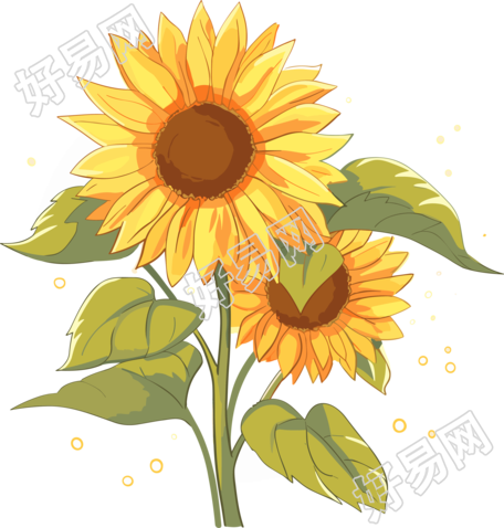 太阳花插画商业可用素材