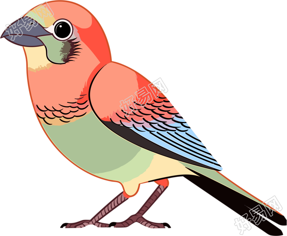色彩鲜艳的小鸟插画素材