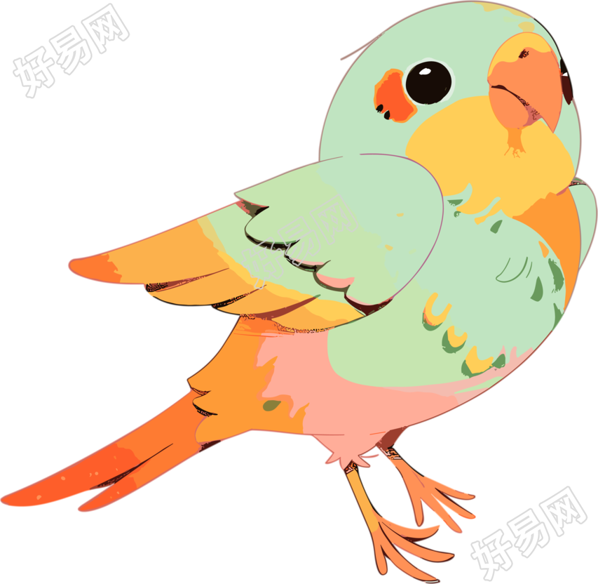 手绘色彩斑斓的小鸟插画素材