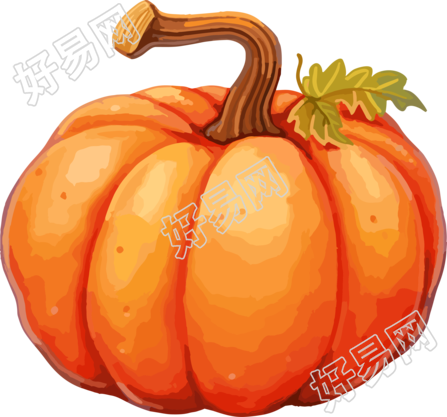 水彩南瓜透明背景插图设计