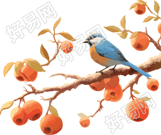 树上成熟的苹果和小鸟插画