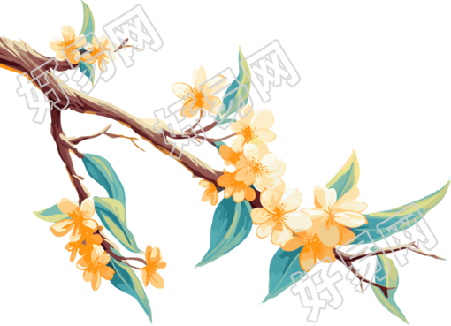 花枝精确绘画插画设计素材
