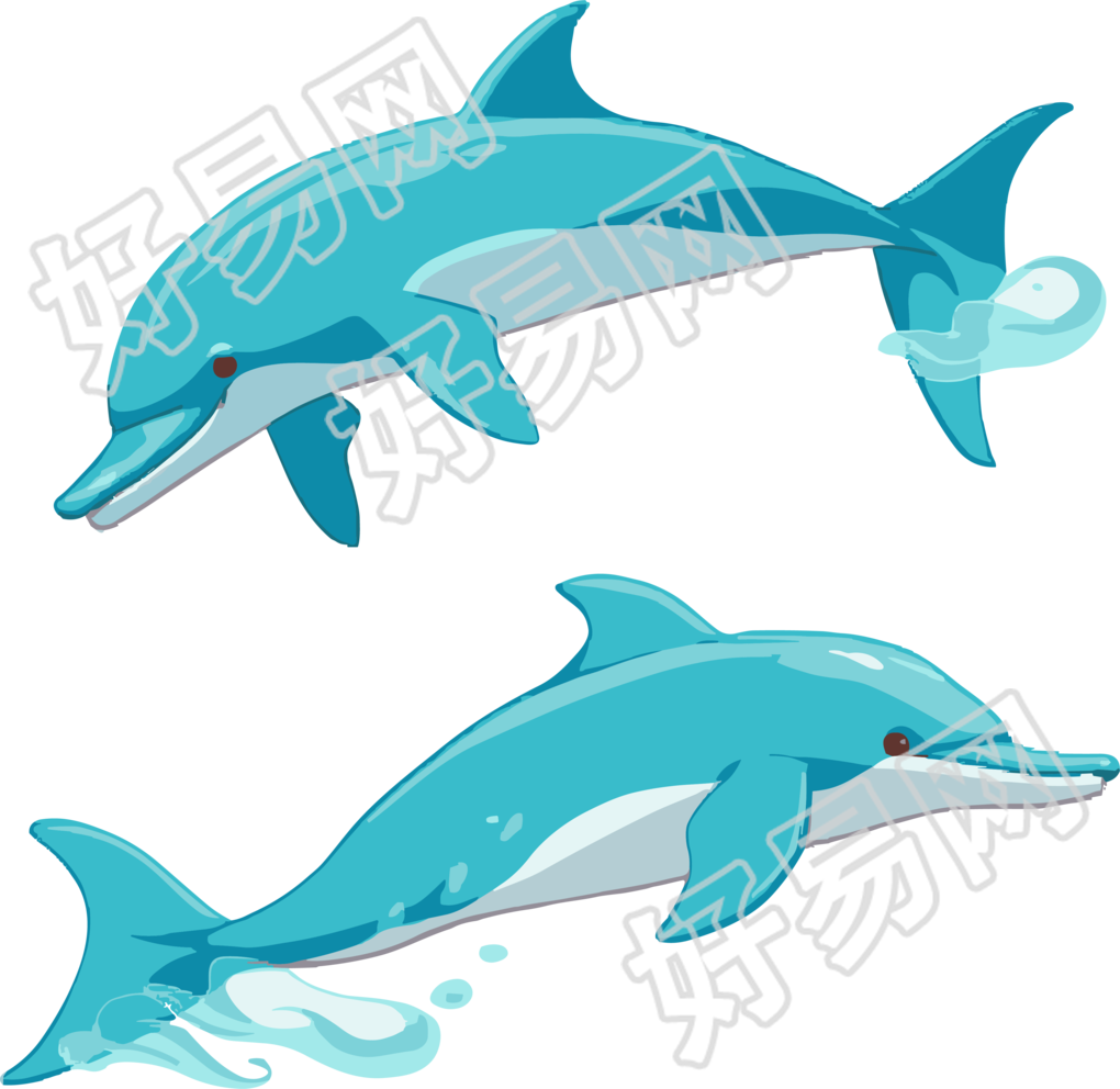 创意设计的海豚高清图形素材