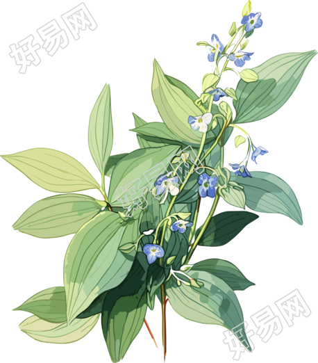 透明背景唯美鲜花绿色PNG图形素材
