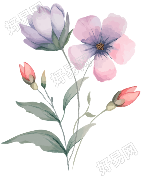 水彩风格创意花卉素材