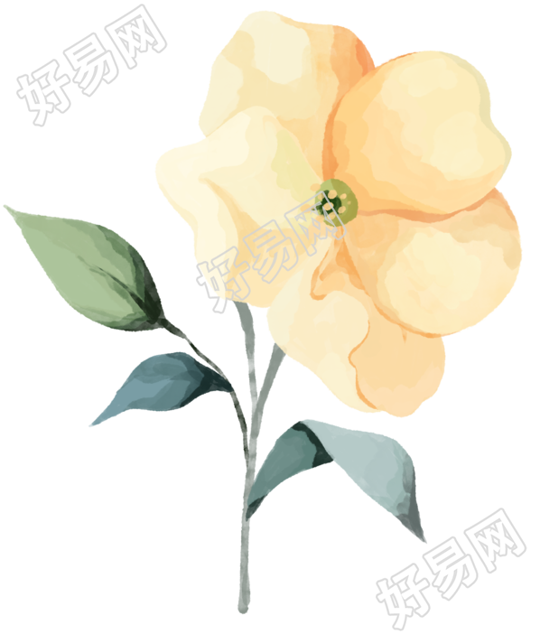 水彩风格小黄花素材