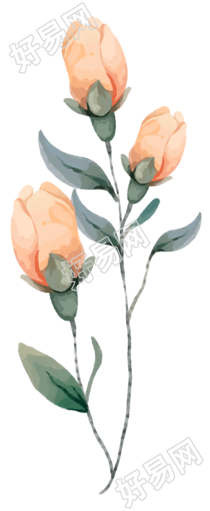 简约水彩风格花卉元素