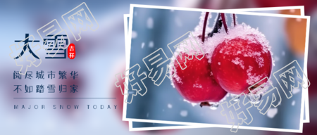 大雪季节的美丽红浆果景色