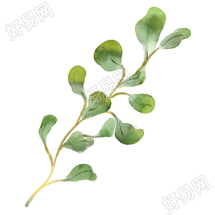 手绘绿色水彩风叶片商用插画