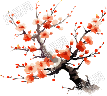 橙色梅花平面插画