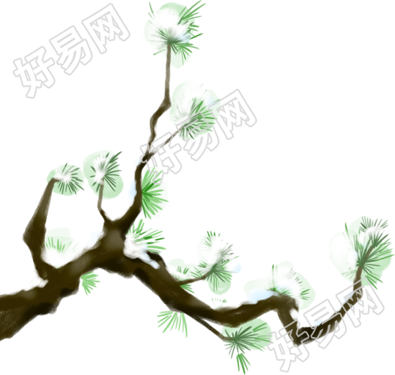 冬天到了带雪的松树手绘插画