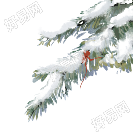今日大雪被雪覆盖的松枝手绘插画