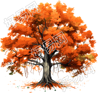 秋天大树手绘插画素材