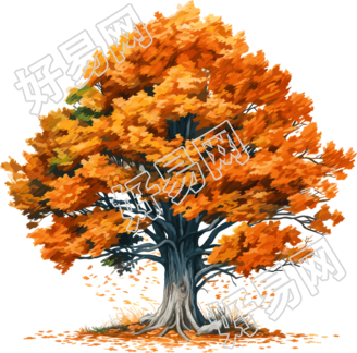 秋天的大树手绘插画