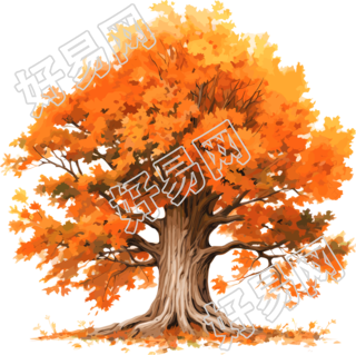 秋天的大树插画设计素材