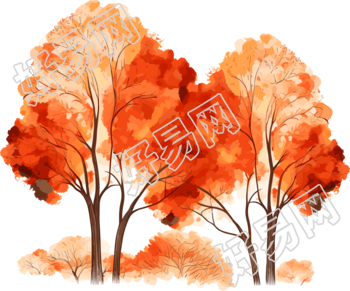 秋天白底橙色大树手绘插画