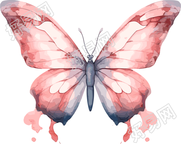 水彩波西米亚风蝴蝶插画元素
