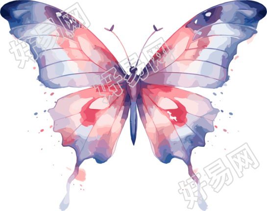 水彩波西米亚极简插画设计素材