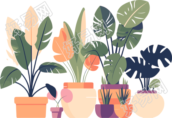 植物收藏风格平面插画设计