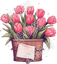 粉色郁金香花朵插图