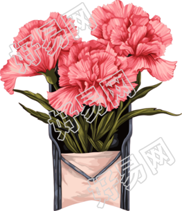 花信封插画粉色康乃馨