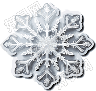 白边白底高清精细8K雪花贴纸