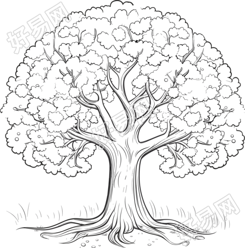 透明背景大树枝叶插图素材