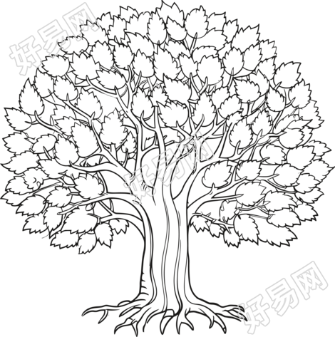透明背景树枝叶插画设计元素
