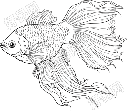 卡通风格的翅膀鱼插画