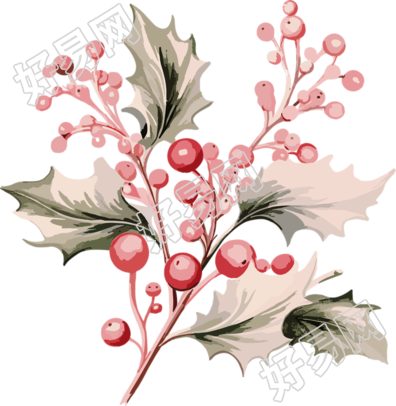 圣诞枝与冬青的粉色古朴别致复古圣诞剪贴画