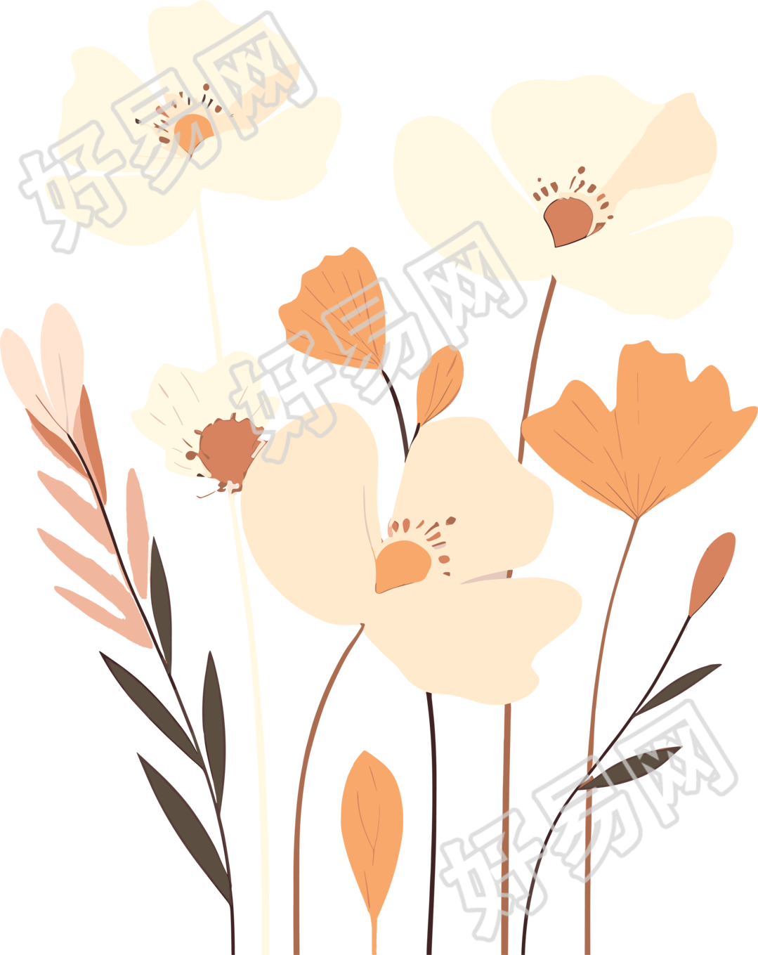 花卉素材图