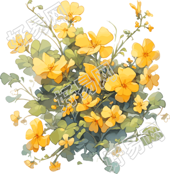 水彩绘画素材黄色花卉与绿色树枝