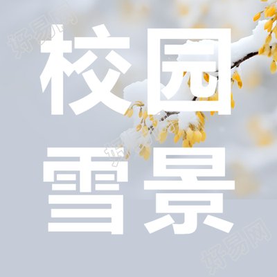 校园雪景中的欢乐打雪仗