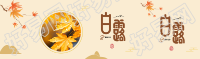 黄色露珠枫叶实景白露节气公众号封面图
