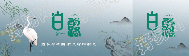 24节气白露秋风凉雁南飞公众号封面图